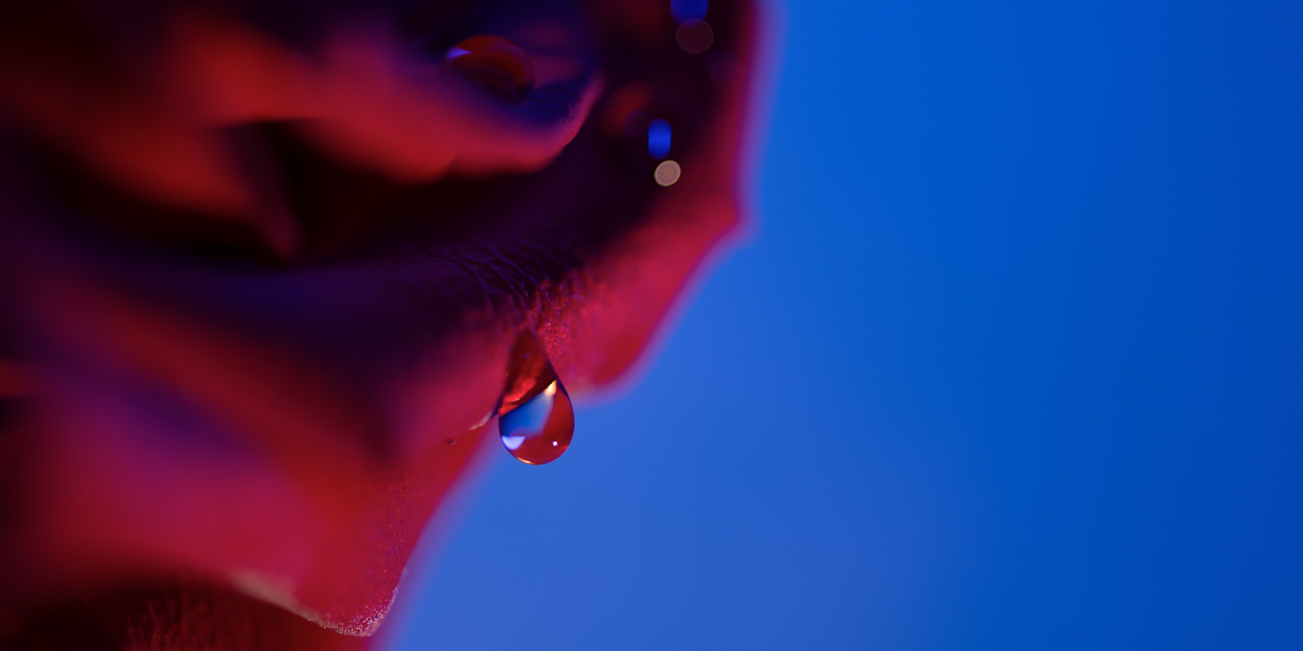LU